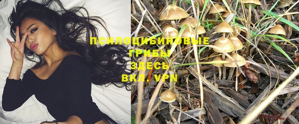 не бодяженный Алексеевка